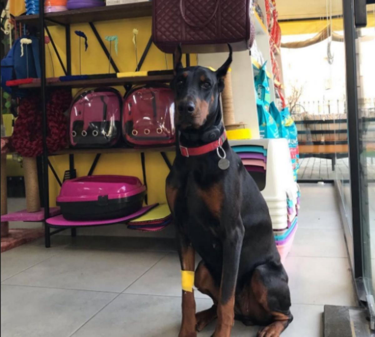 Dostumuza nazik bir bakım anı